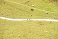 People on walking track from high point of view