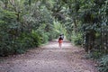 People walking on trail at `Bosque da Freguesia`, Freguesia Forest Public Park, Rio Royalty Free Stock Photo