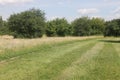 People walking on a trail in an open green field. Royalty Free Stock Photo