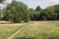 People walking on a trail in an open green field. Royalty Free Stock Photo