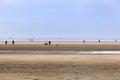 People walking on the tranquil beach of Ouddorp