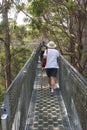 People are walking the Tree Top Walk in the Valley of the Giants, Australia Royalty Free Stock Photo