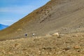 People Walking at Trekking Road. El Chalten - Argentina