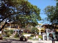 People walking under tree shade in jeju Korea