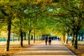 People walking under a treelined path at Greenwich Park