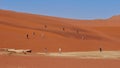 People walking up an orange colored sand dune in different directions on the way to Sossusvlei, Namib desert, Namibia, Africa. Royalty Free Stock Photo