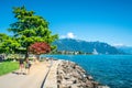 People walking on Vevey lakeside pedestrian quay promenade along Lake Geneva on sunny summer day in Vaud Switzerland Royalty Free Stock Photo
