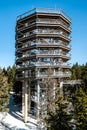 People walking wooden treetop observation deck walkway in winter Royalty Free Stock Photo