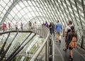 People on walkway in Cloud Forest, Singapore