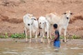 People wash their cows