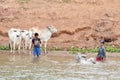 People wash their cows