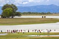 Local people washing, Sri Lanka Royalty Free Stock Photo