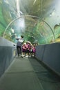 People watch fish in aquatic tunnel