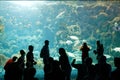 People watch fish in a Florida aquarium