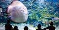 People watch for the sea life in the oceanarium of Kuala Lumpur