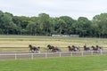 People watch trotting derby, Sunshine on the trotting track. Horses, Jocky, Sulky Royalty Free Stock Photo