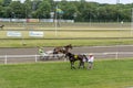 People watch trotting derby, Sunshine on the trotting track. Horses, Jocky, Sulky Royalty Free Stock Photo