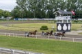 People watch trotting derby, Sunshine on the trotting track. Horses, Jocky, Sulky Royalty Free Stock Photo