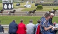 People watch trotting derby, Sunshine on the trotting track. Horses, Jocky, Sulky Royalty Free Stock Photo