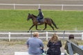 People watch trotting derby, Sunshine on the trotting track. Horses, Jocky, Sulky Royalty Free Stock Photo