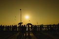 People watching the Beautiful sunset among flying birds Royalty Free Stock Photo