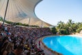 People watching the Dolphin show at Loro Parque in Tenerife Royalty Free Stock Photo