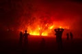 People watching forest fire in night Royalty Free Stock Photo