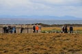 People watching the King penguins living wild at Parque Pinguino Rey, Patagonia, Chile Royalty Free Stock Photo