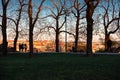 People watching sunset in popular park. Angel, Prague, Czech Republic. Silhouettes of people and trees on beautiful view