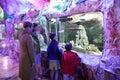 People watching fish in aquarium Royalty Free Stock Photo