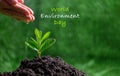 People are watering small plants by hand on green blur nature background, earth day or world environment day concept. Green world Royalty Free Stock Photo