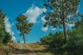 People waving on dirt road with tree