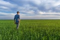 People wheat field sunset