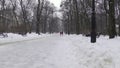 People in winter park