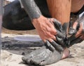 People are wiped with mud. a Mud baths in Spain Royalty Free Stock Photo