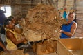 People work at a cigar factory in Panir del Rio, Cuba. . Royalty Free Stock Photo