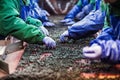 People at work.Unrecognizable workers hands in protective blue g