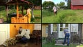 People work various garden jobs in rural farm. Clips collage