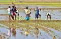 People are working around an agricultural crops field