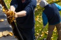 People working in a garden