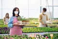 People working in greenhouse in garden center, store open after coronavirus lockdown. Royalty Free Stock Photo