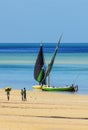 People working with low tide