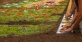 People working together with their hands in the street creating a carpet of flowers making seeds and flowers with a template for