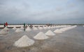 People are working together on the traditional salt making proce