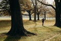 17/5/2020 People workout outdoors, the golden autumn at Hagley park, Christchurch, New zealand. During COVID-19 Level 2 situation