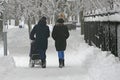 People, a young family park walk in the park in winter, snowfall in the park. Royalty Free Stock Photo