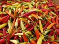 Colourful peppers Royalty Free Stock Photo
