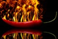 Peperoni on fire Royalty Free Stock Photo