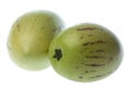 Pepino Dulce (Melon Pears) Isolated