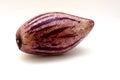 Pepino (Solanum Muricatum) Royalty Free Stock Photo